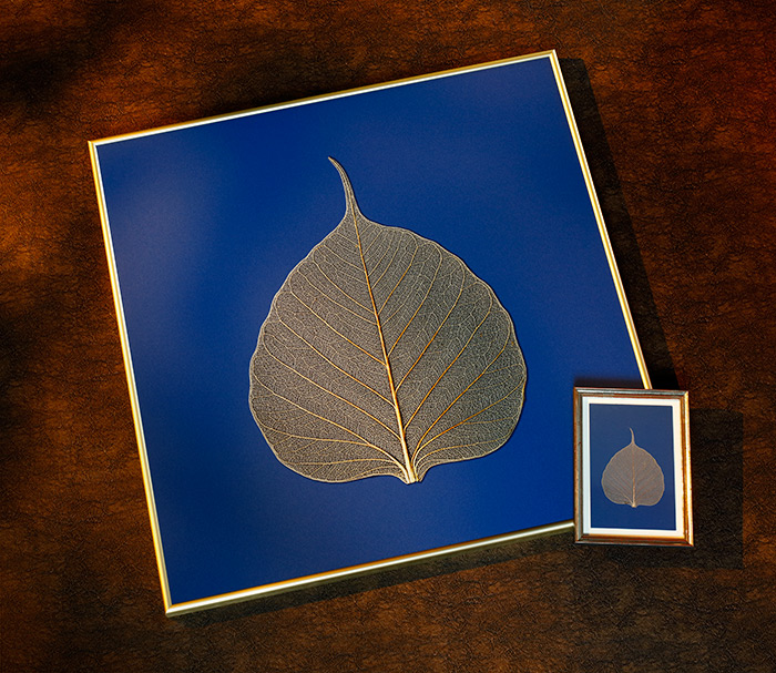 Reproduktion eines gerahmten Blattes eines Bodhi Baums Ein großes Quadrat mit einem goldenen Blatt auf blauem Hintergrund, daneben ein kleinerer Bilderrahmen mit demselben Blatt-Motiv. Die Blattform und Textur sind deutlich sichtbar.